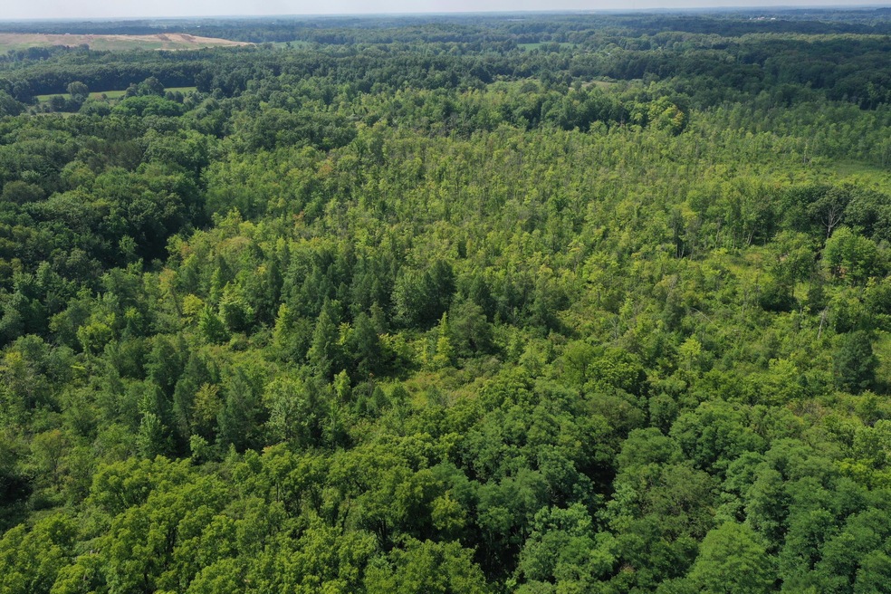 DJI_0827