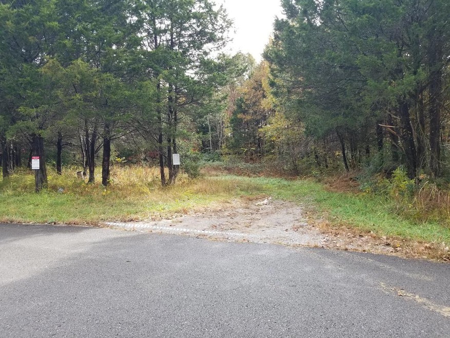 385 Doug Luna Rd, Walling, TN 38587 - photo 1