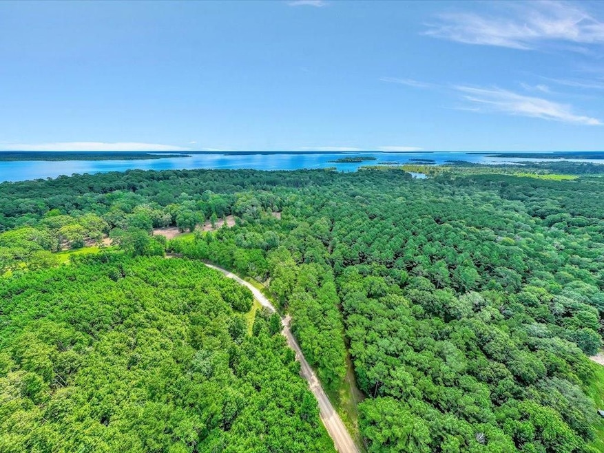 0 Moore Farm unit 24279649, Huntington, TX 75949 - photo 1