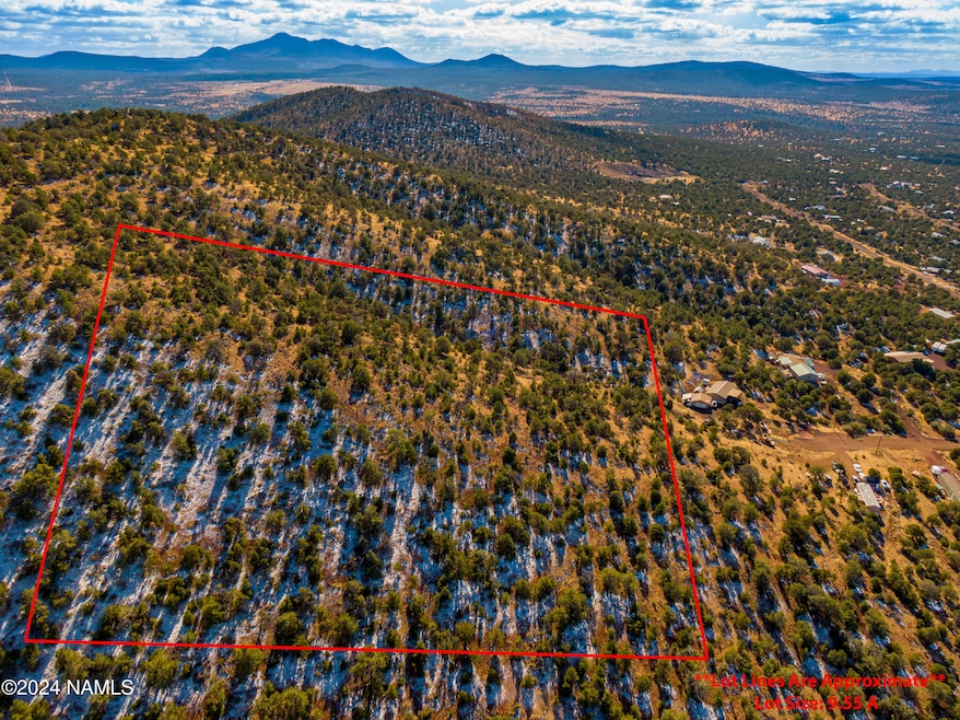 Aerial Lot View