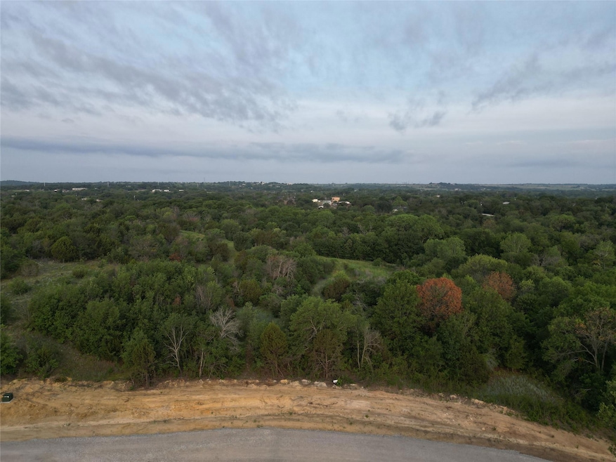 185 Fan Mill Trail, Weatherford, TX 76085 - photo 1