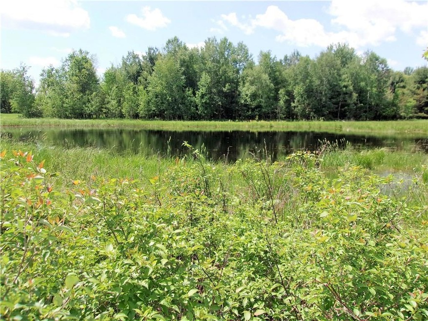 0 Old 35 unit 1531995, Webster, WI 54893 - photo 1