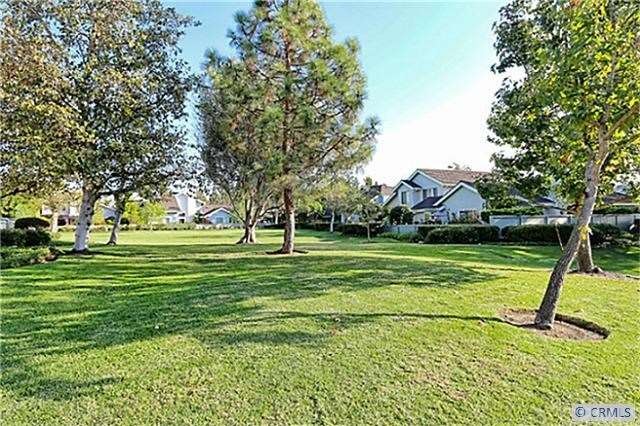 Green Belt Back Yard