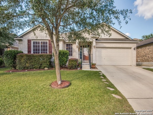 25102 Catalan Cliff, San Antonio, TX 78261 - photo 1