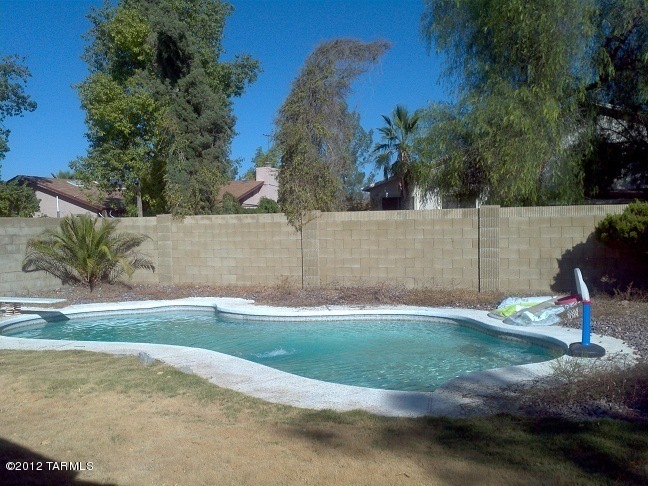 Pool_Stem