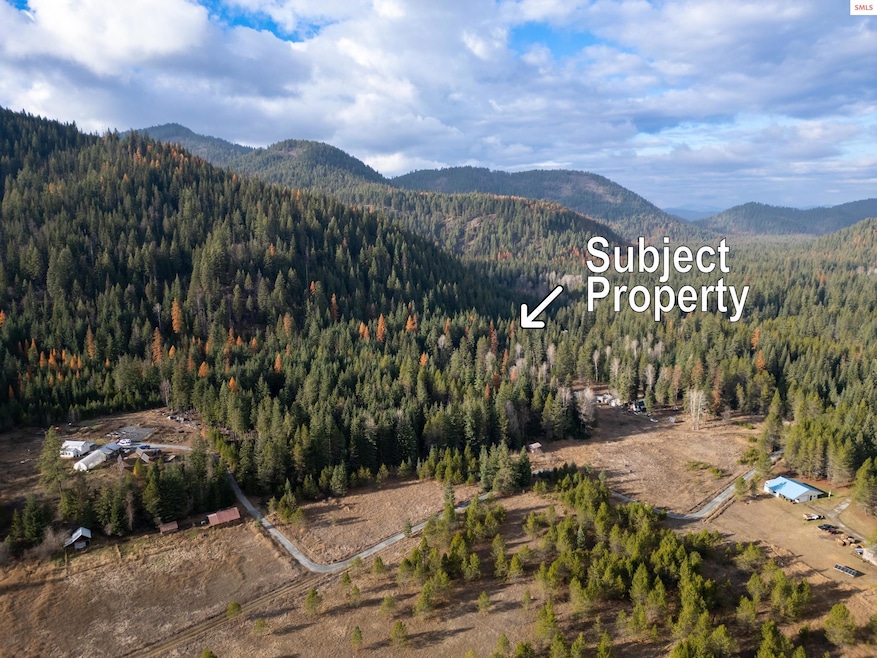 NKA Lower Quartz Creek Rd, Priest River, ID 83856 - photo 1