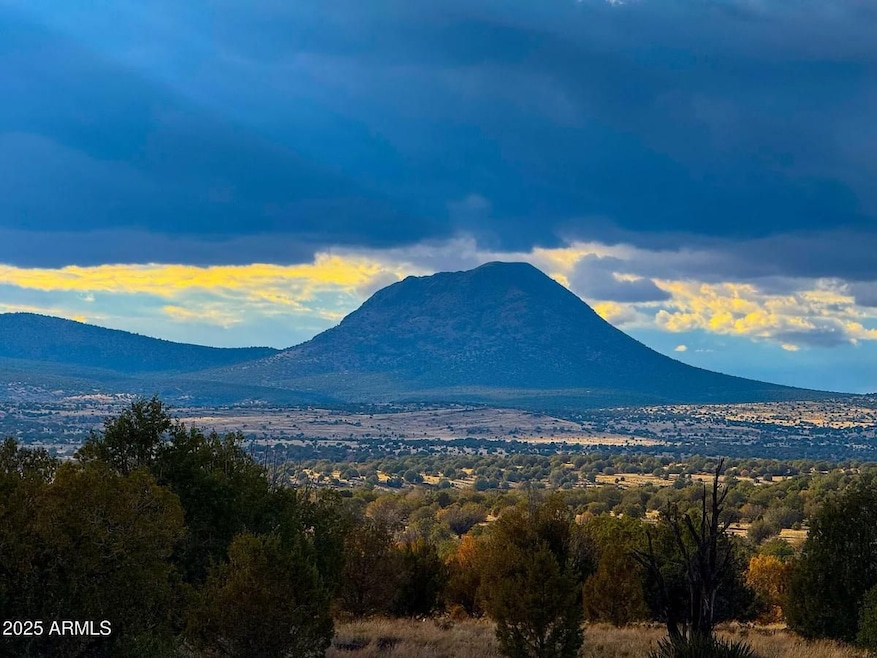 10500 W Big Moon Ln, Ash Fork, AZ 86320 - photo 1