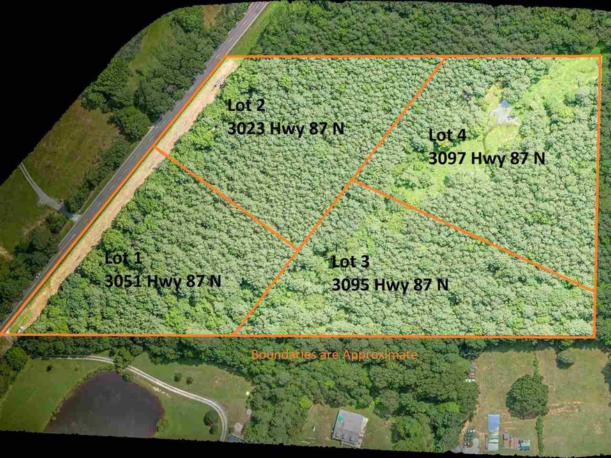 3095 N Carolina 87, Pittsboro, NC 27312 - photo 1