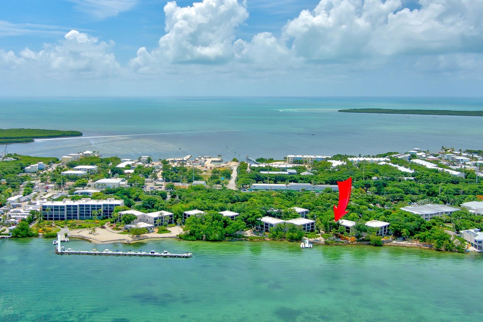 Coco Plum 12