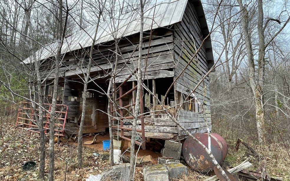 Main View