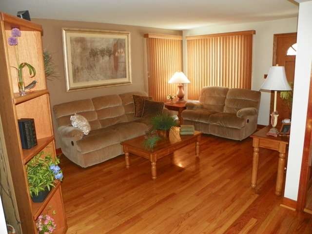 4532 Hirschberg Ave, Schiller Park, IL 60176 - photo 1