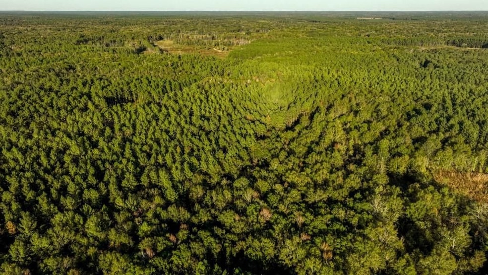 Scarboro Landing, Millen, GA 30442 - photo 1