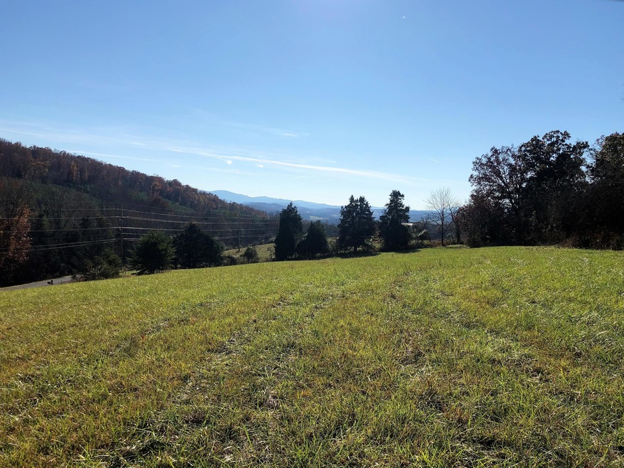 5.9 Ac. - Forest Grove Rd unit 703, Lexington, VA 24450 - photo 1