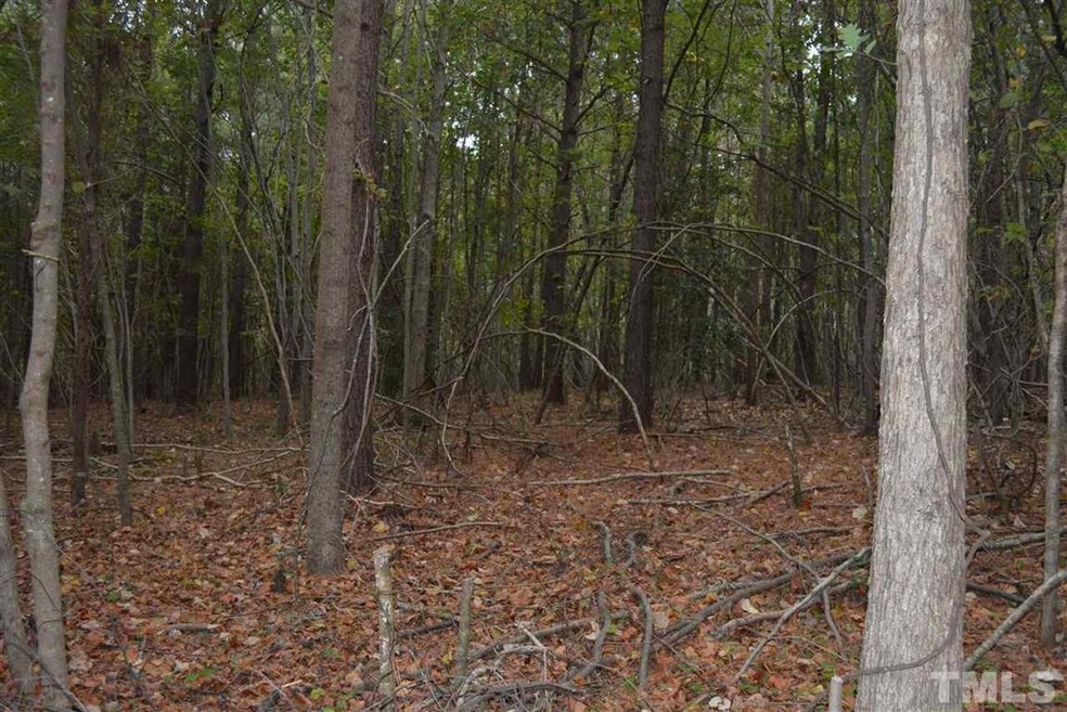 0 Pete Roberson Rd, Pittsboro, NC 27312 - photo 1