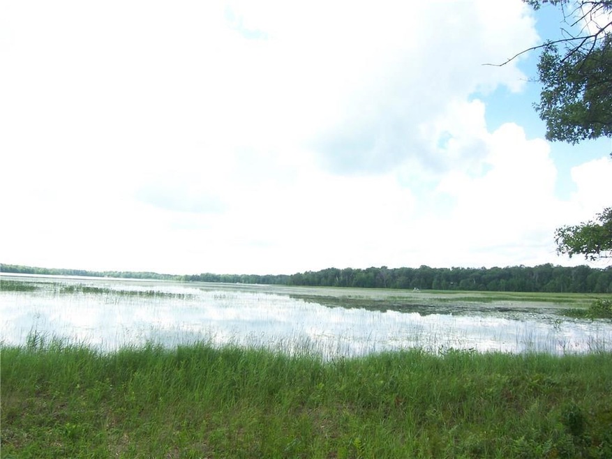 8533 N Bass Lake Rd, Danbury, WI 54830 - photo 1