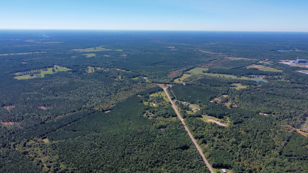 Williams Choctaw County unit MS, Williams, MS 39735 - photo 1