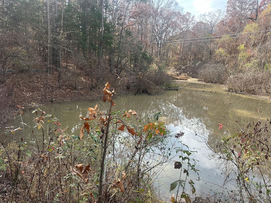 Pine Lake Dr, Batesville, MS 38606 - photo 1