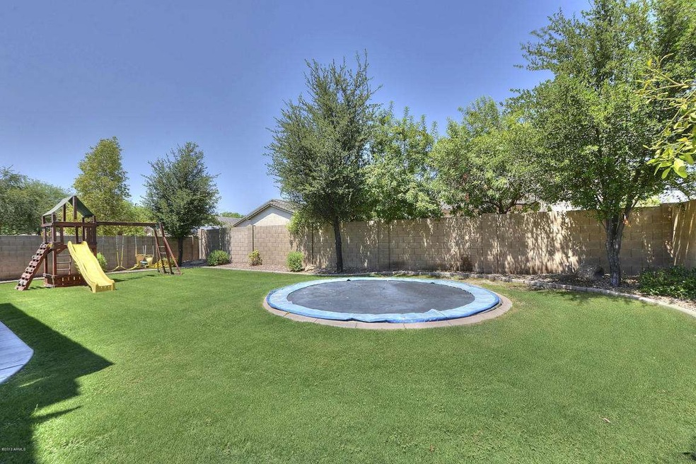 024_Backyard_View[1]