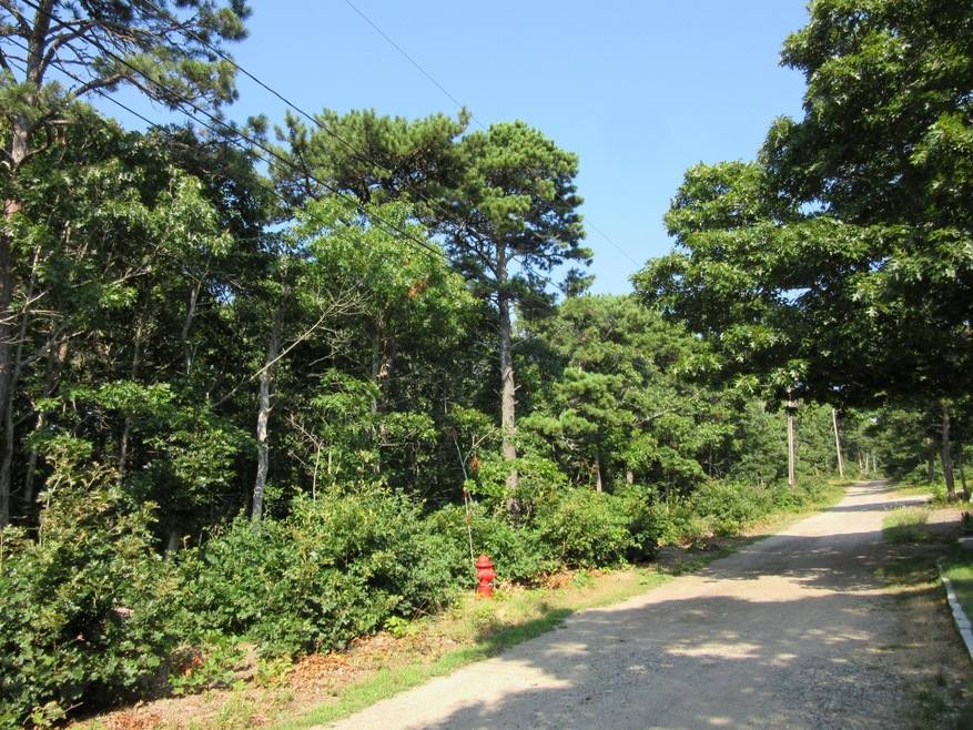 55 Fairview Ave
