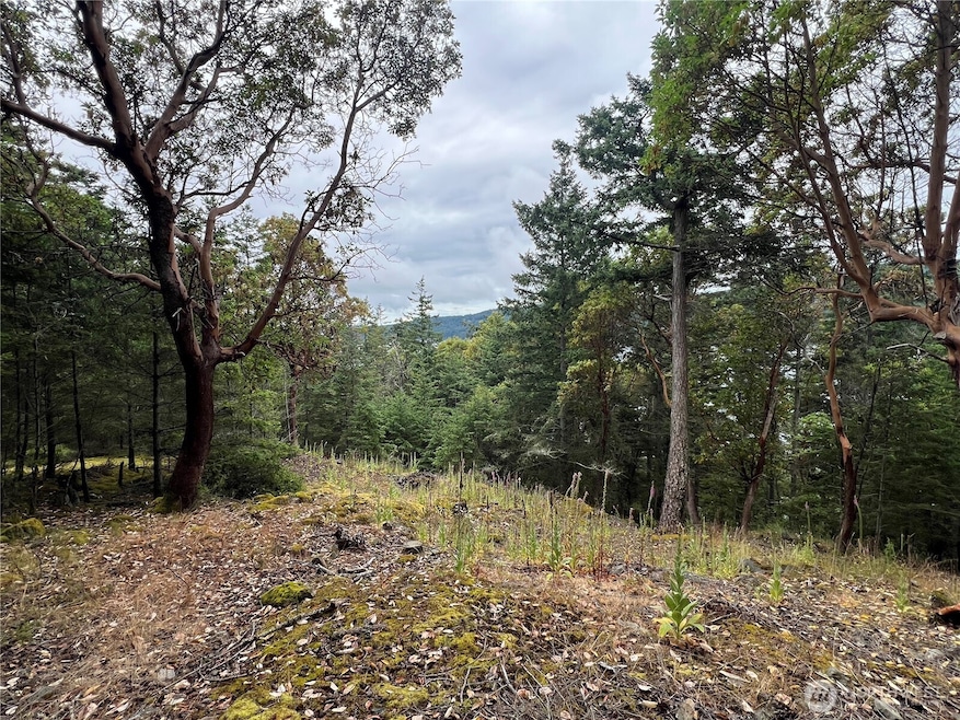 Sold $255,000 • Co-Listing Agent