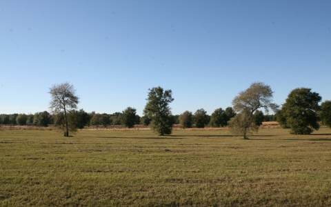LOT72 Mandiba Dr, Lake City, FL 32024 - photo 1