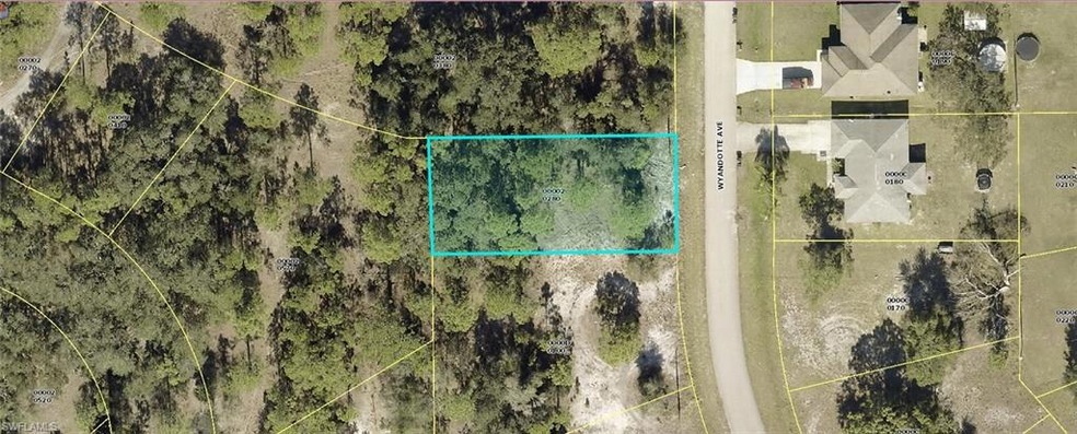 2144 Wyandotte Ave, Alva, FL 33920 - photo 1