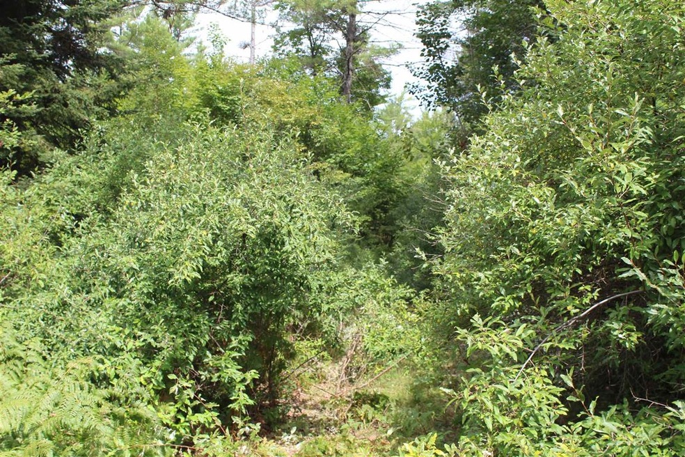 54 Granite Rd, Effingham, NH 03882 - photo 1