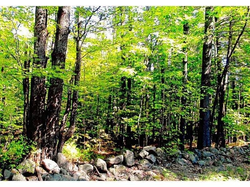 0 Megquire Hill Rd, Poland, ME 04274 - photo 1