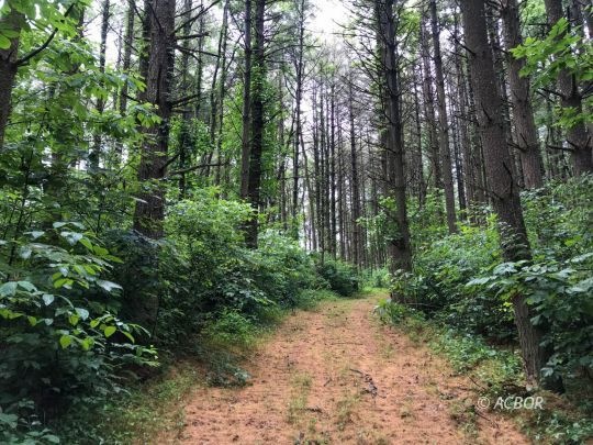 East Branch Rd