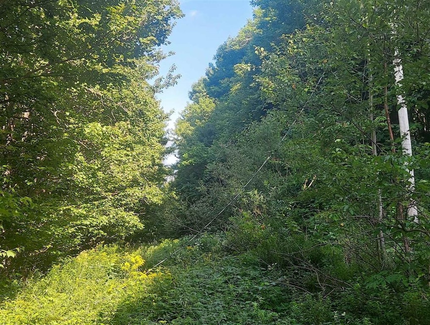 19 Barber Rd, Dover, VT 05356 - photo 1