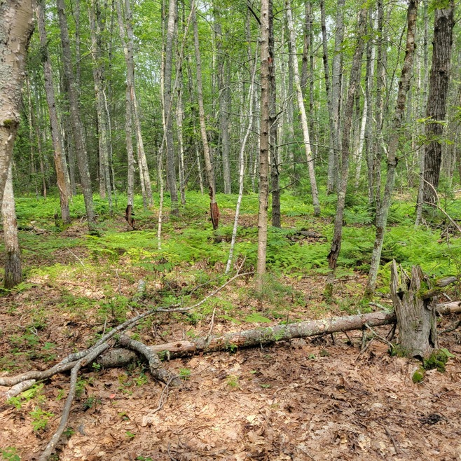 0 Long Reach Ln, Harpswell, ME 04079 - photo 1