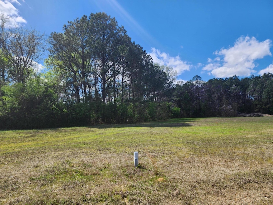 0 Arlington Blvd Lot 2 unit 24-567, Columbus, MS 39702 - photo 1