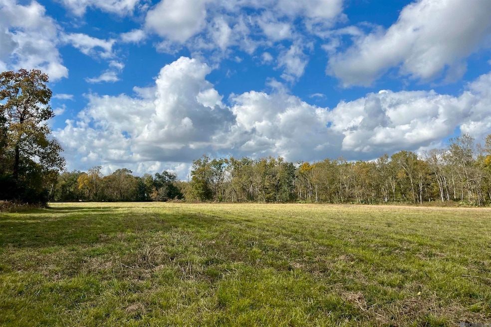 02 Manchac Rd, Saint Gabriel, LA 70776 - photo 1