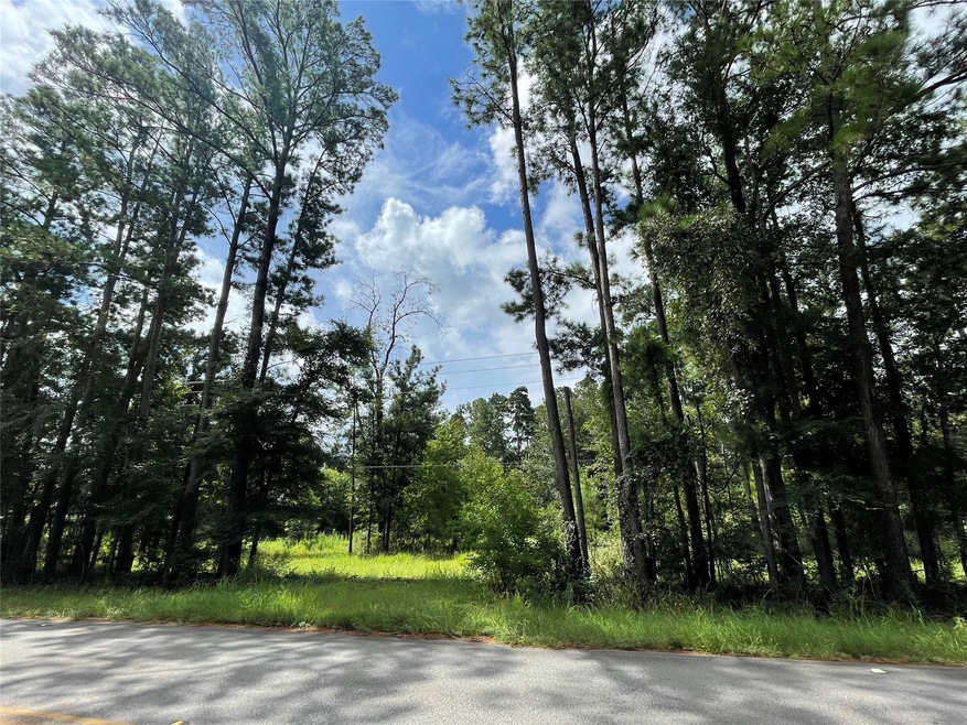 26475 Joseph Rd, Hockley, TX 77447 - photo 1