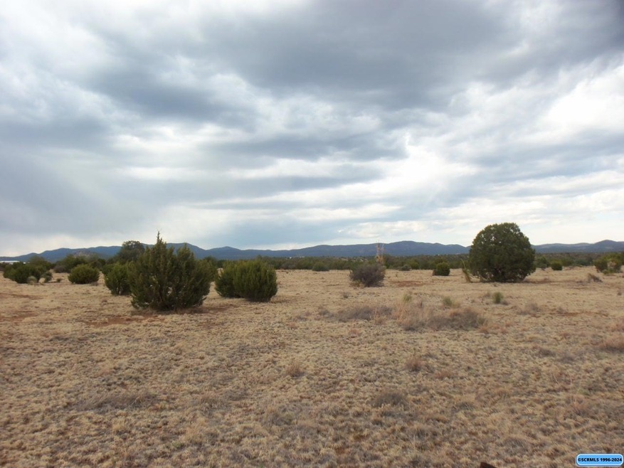 116xx E Highway 180 E unit xx XYZ Rd., Silver City, NM 88061 - photo 1