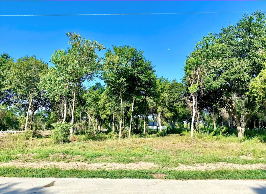 4610 Cottonwood Run, Alvin, TX 77511 - photo 1