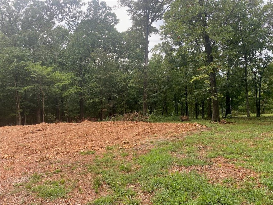 827 Brush Creek Rd, Springdale, AR 72762 - photo 1