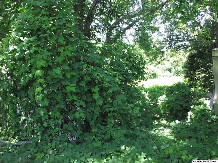 0 Cathedral Caverns Rd, Grant, AL 35747 - photo 1