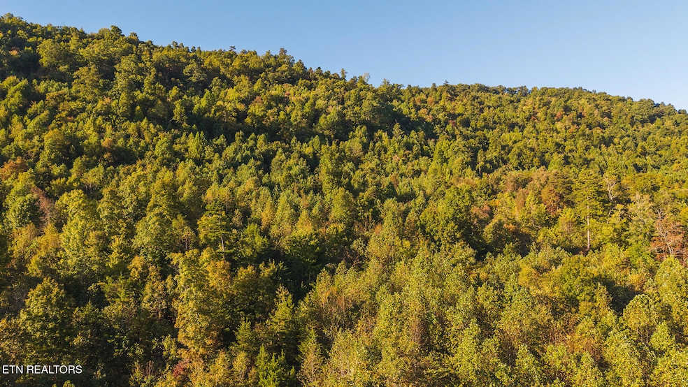 0 Black Valley Rd unit 1322140, Sneedville, TN 37869 - photo 1