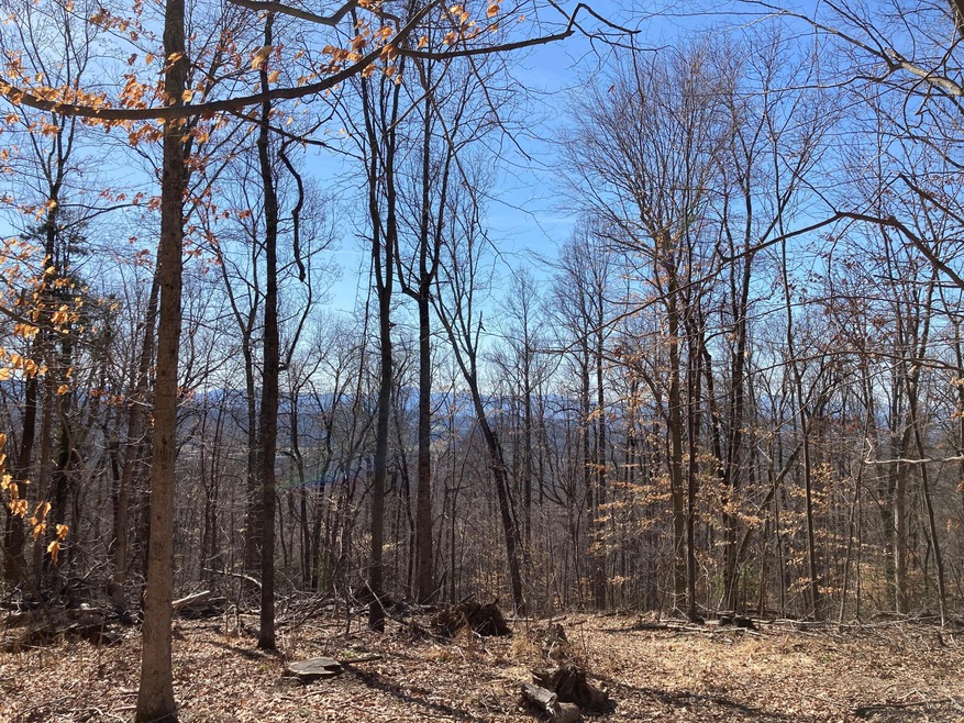 ridgeline #3 2-28
