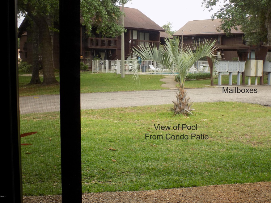 View of pool from Patio