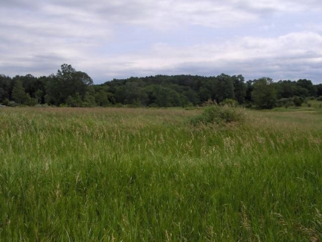 olmstead rd 008
