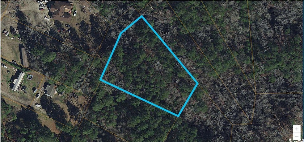 Lot 4-B Beehive Dr, Longs, SC 29568 - photo 1