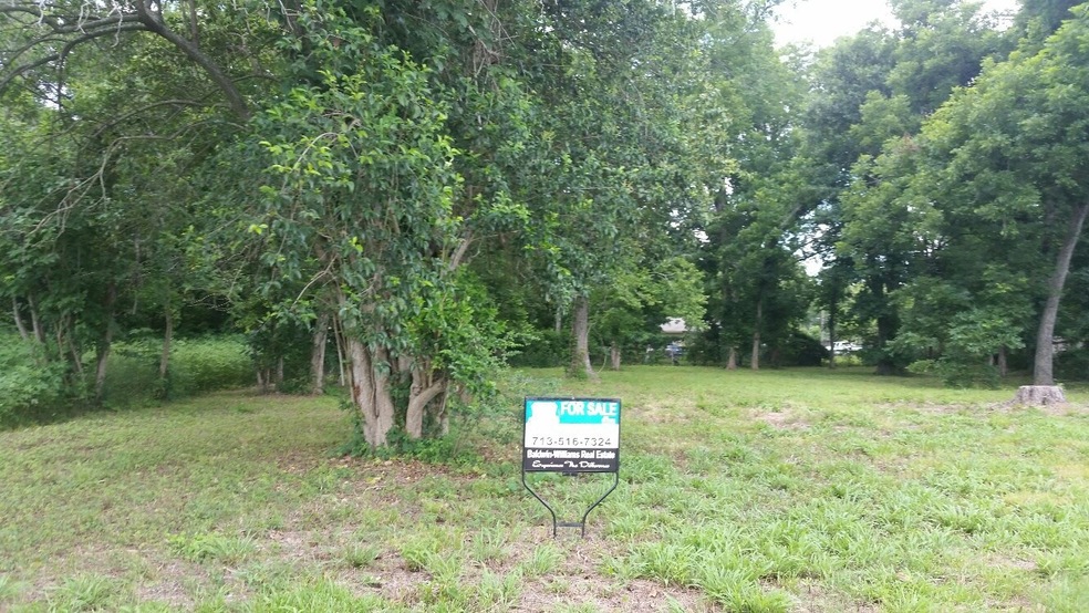 0 Sandra unit 26444395, Houston, TX 77028 - photo 1