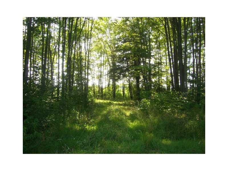 0 Clancy Rd, Hayfield Township, PA - photo 1