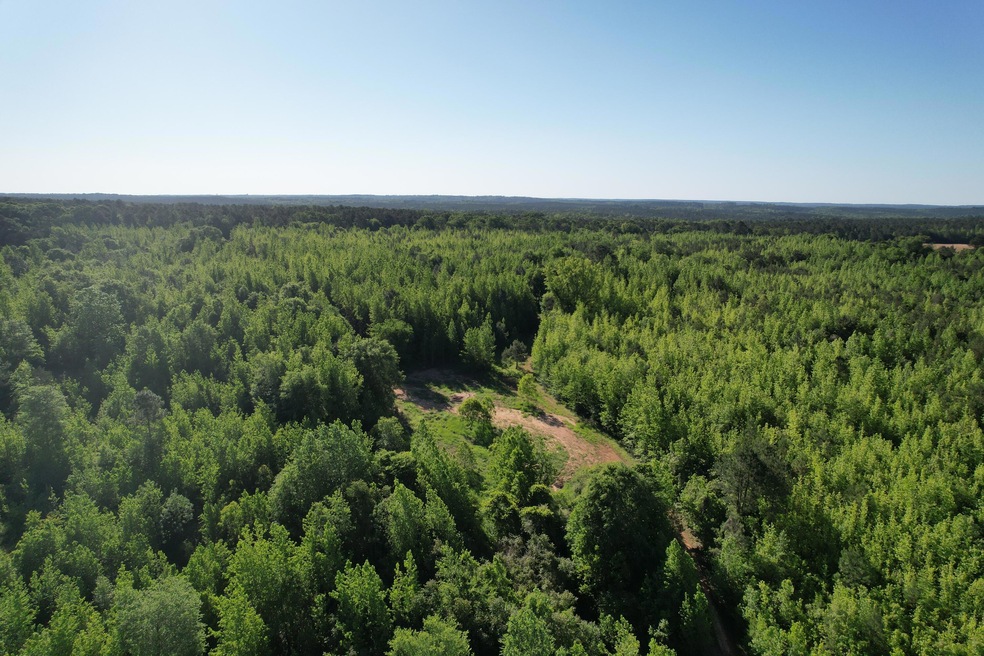 DJI_0333