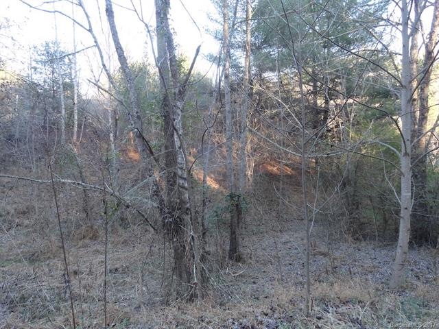 Private Wooded area
