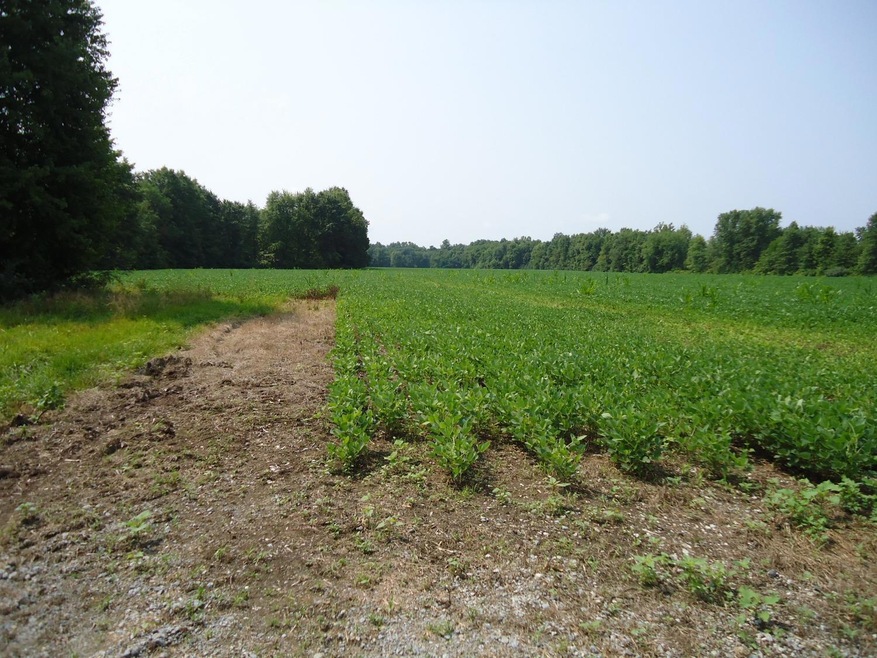 0 Park Rd unit 1779071, Perry Township, OH 45118 - photo 1