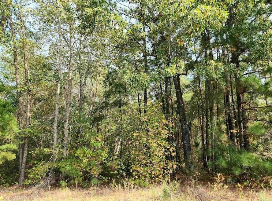 10857 Deer Creek Dr, Tyler, TX 75707 - photo 1