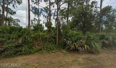 745 Roma Ave S, Lehigh Acres, FL 33974 - photo 1